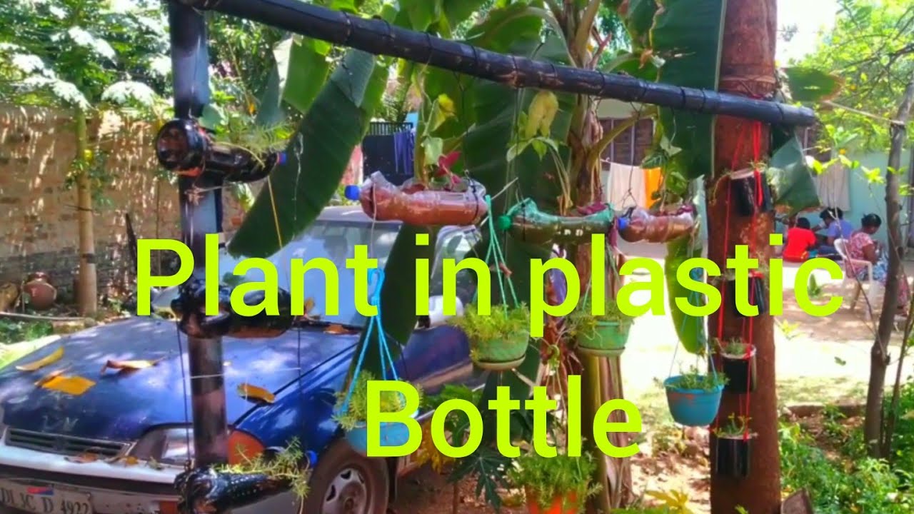 Plant in plastic bottles in garden in Ranchi Jharkhand YouTube