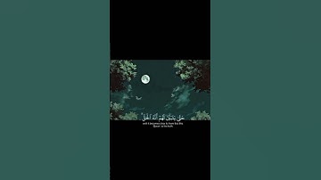 قران كريم بصوت القارئ ياسر الدوسري ♥️#تلاوة هادئة ومريحة#راحة نفسية