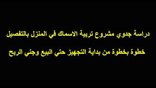 مشروع تربية الاسماك في المنزل بتكلفة اقل من 1000 جنية وجني ربح هائل