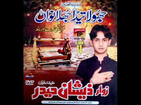 ZEESHAN HAIDER 2010 SARAIKI VOLUME[JHOOLA TEDA].wmv