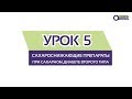 УРОК 5 \ Сахароснижающие препараты для диабета 2 типа