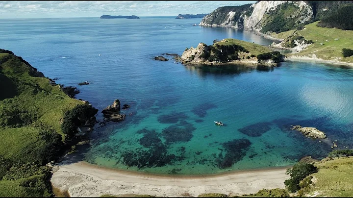 Explore the Coromandel Peninsula with Dive Zone Whitianga