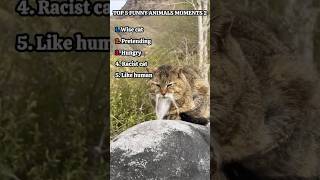 Funny Animals Moments 2