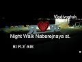 Night Walk in Vladivostok | Naberejnaya st |  Fokina st | 4k
