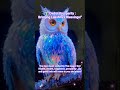 Goddess Lakshmi's blessings with Owl of Prosperity#lakshmimata#shorts#motivation#viral#ytshorts
