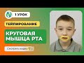 🔥Урок 1 Тейпирование круговой мышцы рта. Тейпирование в логопедии.