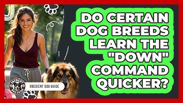Do Certain Dog Breeds Learn The "down" Command Quicker? - Obedient Dog Guide