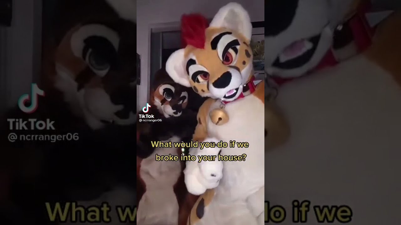 What Would You Do If We Broke Into Your House Tik Tok Ncrranger06 