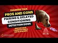 Pros and cons of pairing and delayed conditioning in detection and nosework dogs