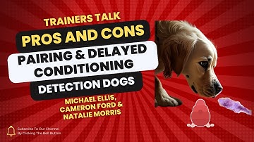 Pros and Cons of Pairing and Delayed Conditioning in Detection and Nosework Dogs