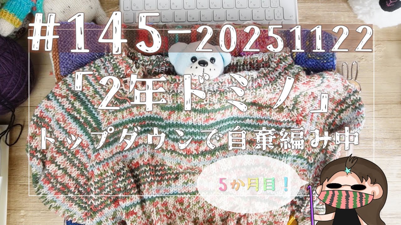 2nd Year Domino #145] November 22nd Domino Knitting ← Knitting a