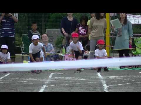 さきゅさきゅ　運動会　５０Ｍ走