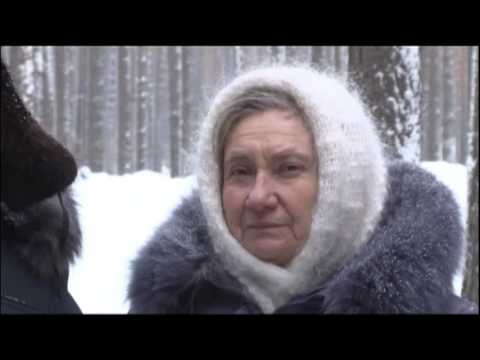 Вокруг лесопарковой зоны, прилегающей к поселку Пригородный, разгорелся скандал