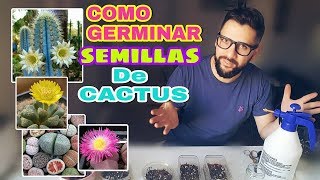 COMO GERMINAR SEMILLAS DE CACTUS Y SUCULENTAS - (HOW TO GERMINATE CACTUS SEEDS)