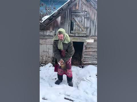 обоже - YouTube