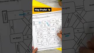 Spanish Subject Pronouns Practice Worksheet for Middle School and High School Students