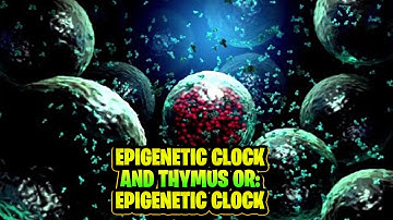 Turn Back Time With Your Epigenetic Clock And Thymus | Keys to Reversing Aging | Reverse Aging