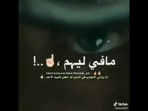 حالات واتساب شفت يا خويا الصحاب