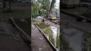 Chạy test dầm ghe bay mới nha #ghengodiendien