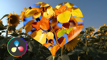 Heart Transition l Davinci Resolve 20