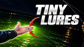 ARROYO CITY PIER FISHING with TINY LURES… They Actually Worked!