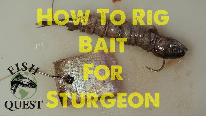 How to Cure Salmon Roe for Bait When Fishing for Salmon and Steelhead 