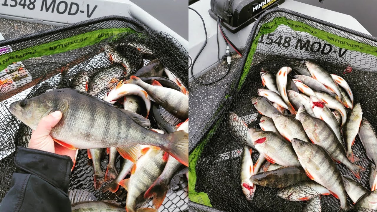 HURJA SÄKKI AHVENTA! LOWRANCE ACTIVE TARGET EKAA KERTAA TESTISSÄ!