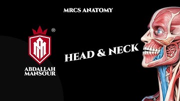 Head and Neck Anatomy Lesson | MRCS part B