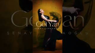 “Gel Yan” bu gece 00:00’da yayında!  #gelyan #gencoari #newsong #adamusic #şenaylambaoğlu #shorts Resimi