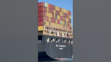 Large MSC Container Ship