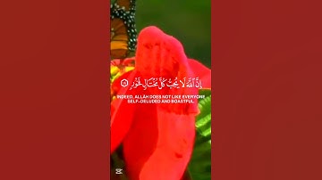 قرآن الكريم سورة لقمان الآية 17The Holy Quran, Surah Luqman, Verse 17 #قران_كريم #انقذوا_غزة