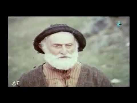 ნუ იცით ბრეგვაძეებმა ასე სულელური ლაპარაკი