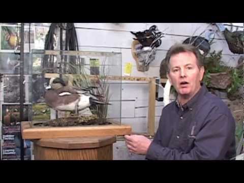 hunting simulator pc Executive Cases for Birds