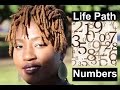 Numerology: Life Path 1-9 High and low vibration || #Numerology #Life #Path