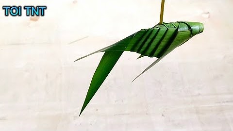 Cách làm con cá bằng lá dừa (mới)| TOI TNT