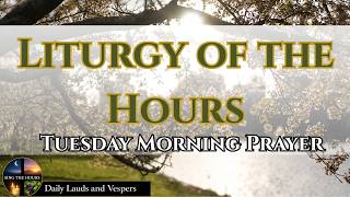 Divine Office | Tuesday Morning Lauds | August 11, 2026