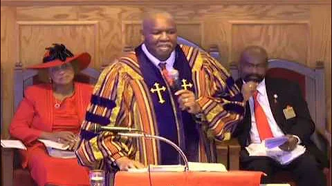 Video 11203751: abyssinians live