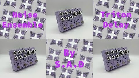 Sentimental Animal Devices „Noise Delay“ (Anchovies Noise Ensemble into Culture Jam Triton Delay)