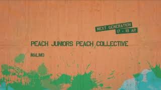 Streetstar Dance school challenge - Peach collective 2nd place 2020