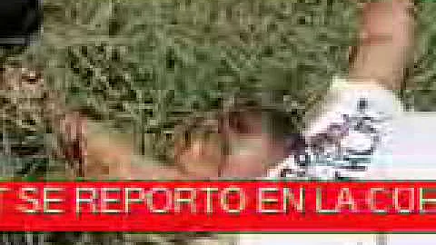 EJECUTAN AL PEPINO Y TIEMBLA NEYLANDIA CAPITULO 4
