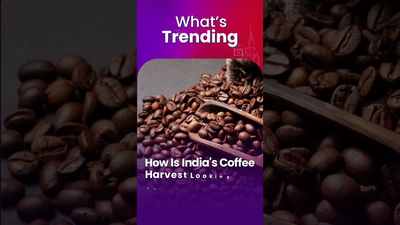 Trending | India's Coffee Output Misses Estimates | BQ Prime