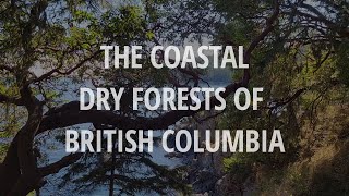 The Coastal Dry Forests of British Columbia (Closed Captioned)