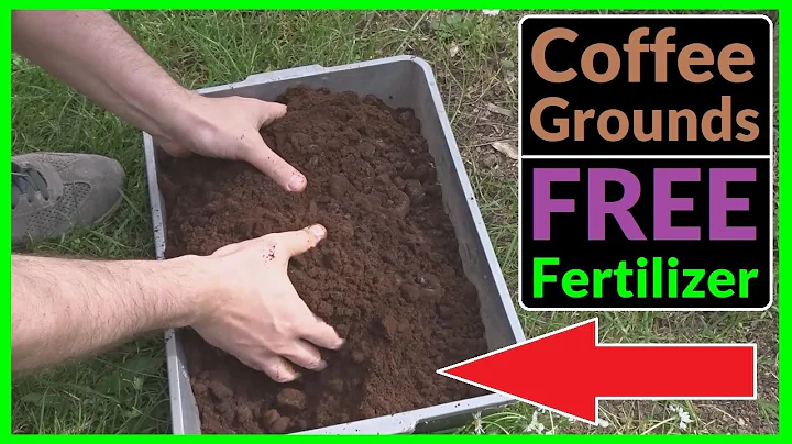 Is coffee a fertilizer? (2023)