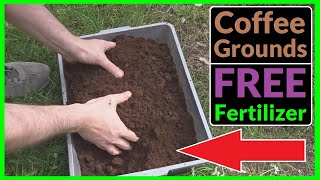 How to use Coffee Grounds as a FREE Fertilizer for your Plants