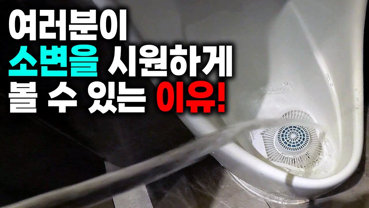 막힌 소변기 두 대, 아래층 천장 배관에서 세척했습니다 현장 영상 썸네일