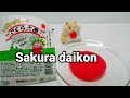 駄菓子　さくら大根　【Sakura daikon】【Sour radish sweets】신무 과자/ขนมหัวไชเท้าเปรี้ยว/Kẹo củ cải chua