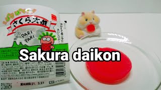 駄菓子　さくら大根　【Sakura daikon】【Sour radish sweets】신무 과자/ขนมหัวไชเท้าเปรี้ยว/Kẹo củ cải chua