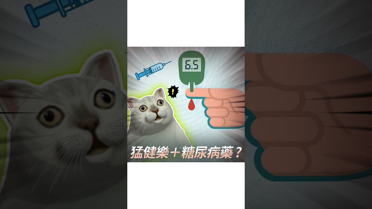 猛健樂可以和糖尿病藥一起用嗎？醫師一次說清楚 縮圖