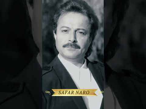 شاهرخ سفر نرو