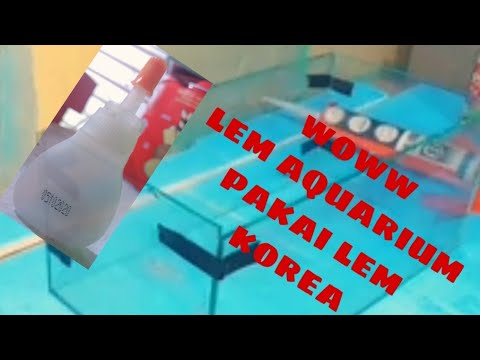 Cara mengatasi Aquarium Bocor/Merembes. 